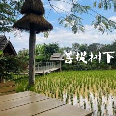 勐·波兰傣泐传统文化主题园 User Photo