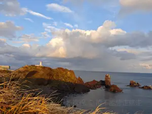 Dạo thưởng hoa 11 Hàng Đầu Tại Jeju