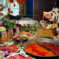 朱光玉火锅馆(绵阳万达店) User Photo
