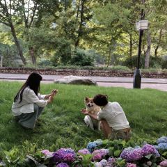 大三碗(旧街店) User Photo