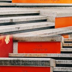 清邁清邁巷口小排檔（煙台山店）張用戶圖片