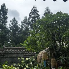 隐子茶舍 User Photo