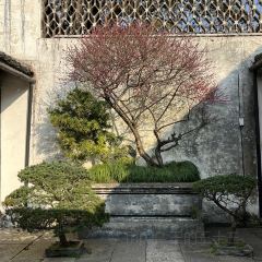 LANTINGJI·SHAOXINGCAI User Photo