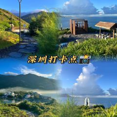 BUFFALO MILK QUEEN SUGAR WATER SHOP User Photo