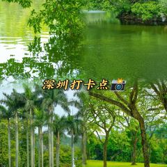 BUFFALO MILK QUEEN SUGAR WATER SHOP User Photo