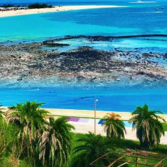 福记瘦肉丸(学院西路店) User Photo