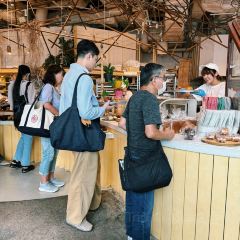 Dacomecca張用戶圖片