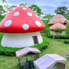 唐宴（青果巷店）張用戶圖片