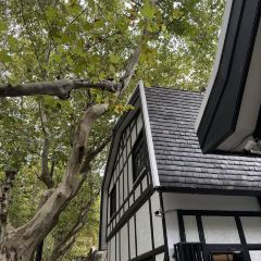 One Step Garden（Anhe Garden） User Photo