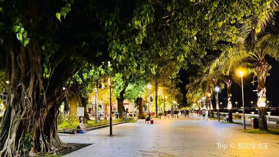 Nguyen Dinh Chieu Walking Street