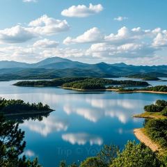 六月雪干锅(诗城路店) User Photo