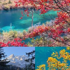 卡万金特色藏餐 User Photo