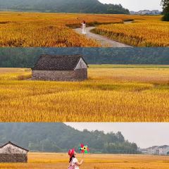 霞客食府張用戶圖片