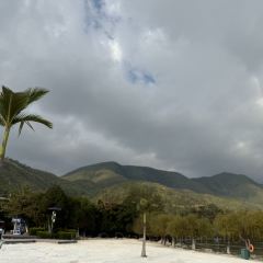 西波魚莊張用戶圖片