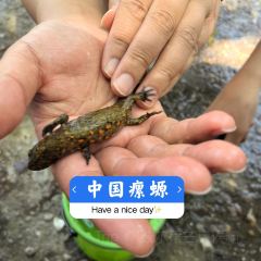 荣村农家乐 User Photo