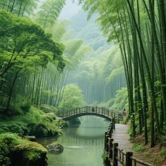 Tujia A Mei Restaurant User Photo