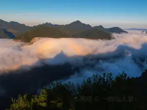 陳峭村