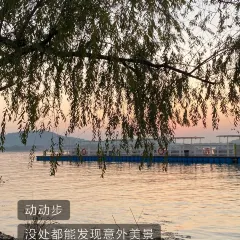 熙盛源（滴翠路店）張用戶圖片