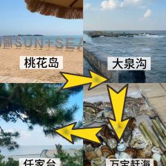 上水咖啡(日照中心店) User Photo