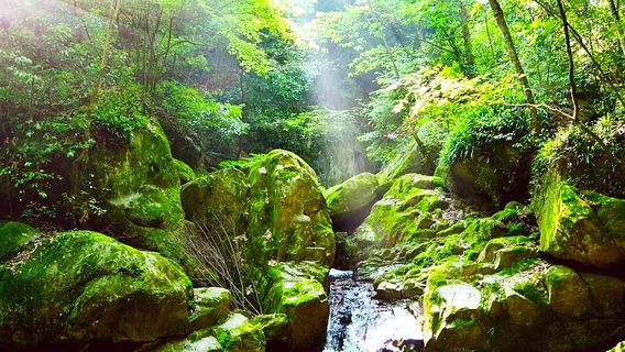 Tongche Bay Scenic Area