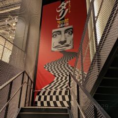 SACULA DINER張用戶圖片