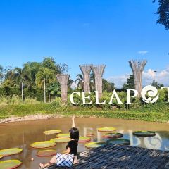 Celapot Café x Gallery เซลาพอต คาเฟ่ ครอส แกลลอรี่ ศิลาดล User Photo