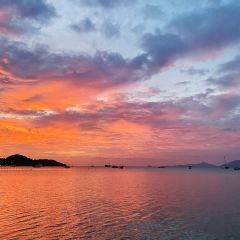 COCO TAM'S User Photo