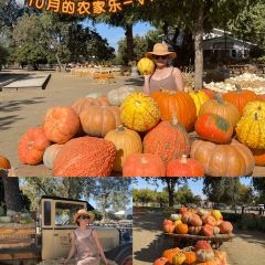 Vista Ranch and Cellars Restaurant 여행 사진