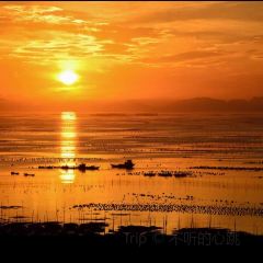 福宁海鲜大排档 User Photo