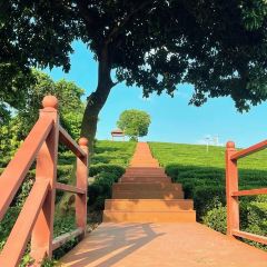 永盛酒樓張用戶圖片