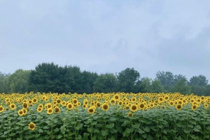 人民公社(神农北路店)