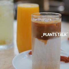 北马山庄植趣咖啡 User Photo