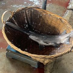 LONG JING YU ZHUANG User Photo