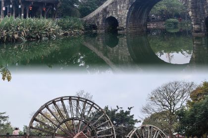 Huanglongxiyigen Noodles