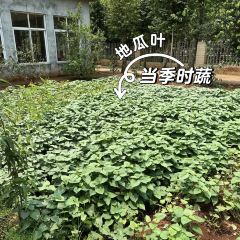 福山土窑养生饭庄(福山镇店) 여행 사진