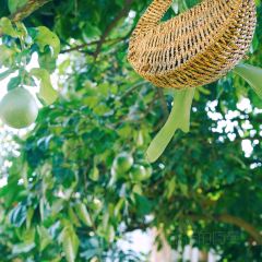 青禾文创田院 User Photo