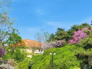 Shenqiu County Ziwei Manor