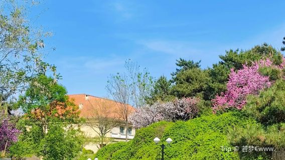 Shenqiu County Ziwei Manor