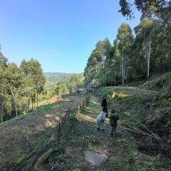 山涧别院 User Photo