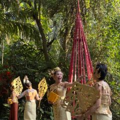 Tamarind Springs ảnh của người dùng