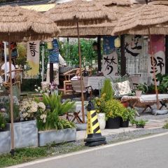 染月茶咖 User Photo