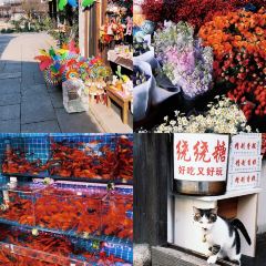 高朋家常菜 User Photo