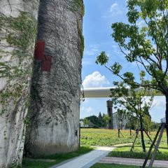 盐平府·海盐菜 User Photo