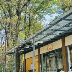 紫金山院張用戶圖片