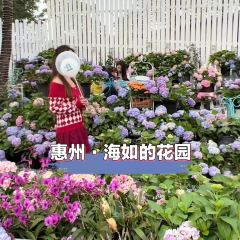 海如的花園張用戶圖片