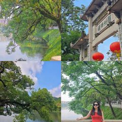 丽华炒冰 User Photo
