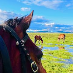 二十二度客栈深夜食堂 User Photo