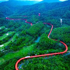 光明刘冰乳鸽店(光明法政北路店) User Photo