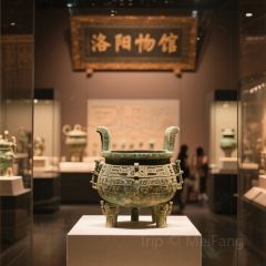 Huashanluxiaowanlvrou Soup User Photo