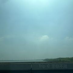 王記骨頭館張用戶圖片
